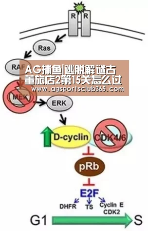 AG登录