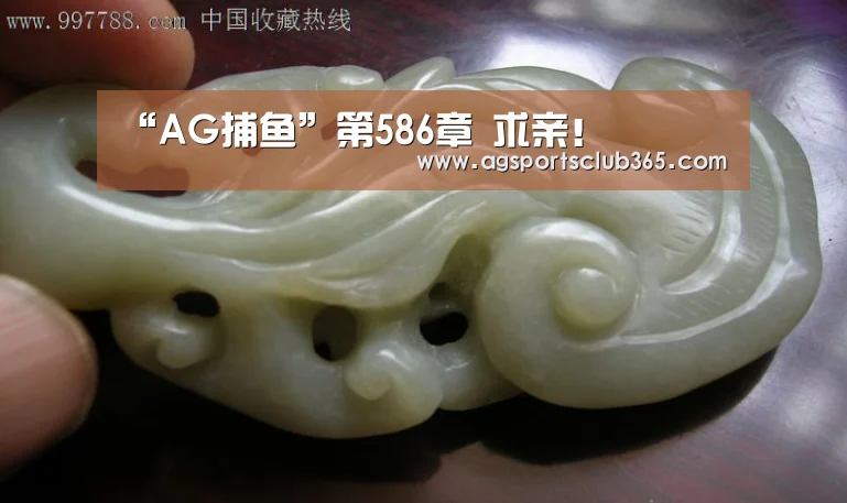 “AG捕鱼”第586章 求亲！