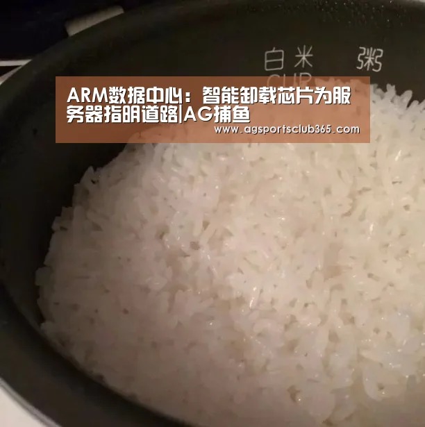 ARM数据中心:智能卸载芯片为服务器指明道路|AG捕鱼(图1) AG体育
