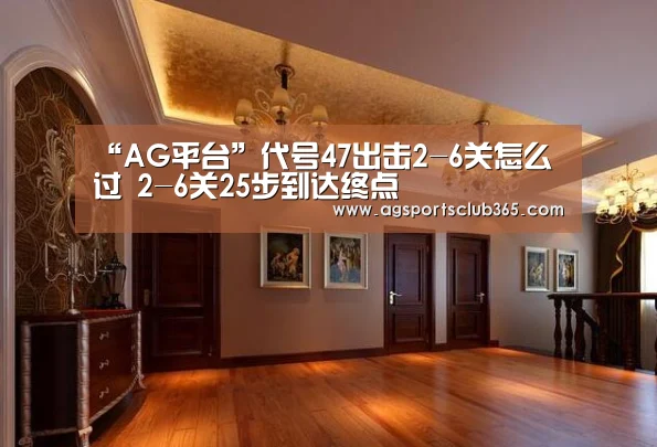 AG体育