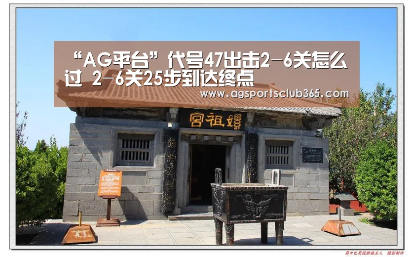 AG体育