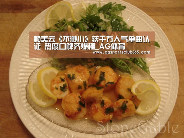 赖美云《不渺小》获千万人气单曲认证 热度口碑齐爆棚_AG体育(图2) AG登录