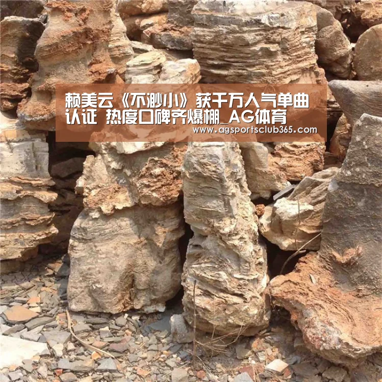 赖美云《不渺小》获千万人气单曲认证 热度口碑齐爆棚_AG体育(图3) AG登录